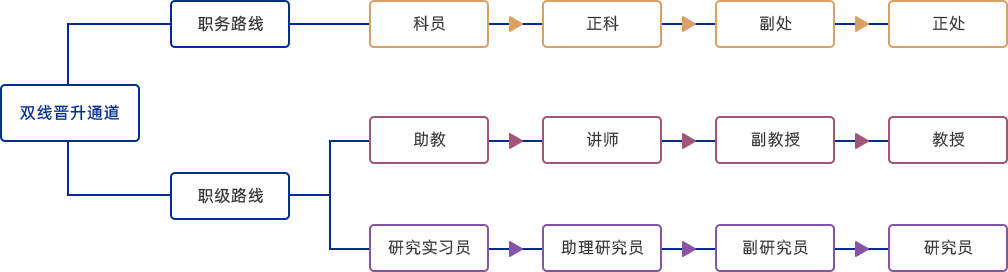 輔導(dǎo)員職務(wù)職級(jí)“雙線晉升”通道